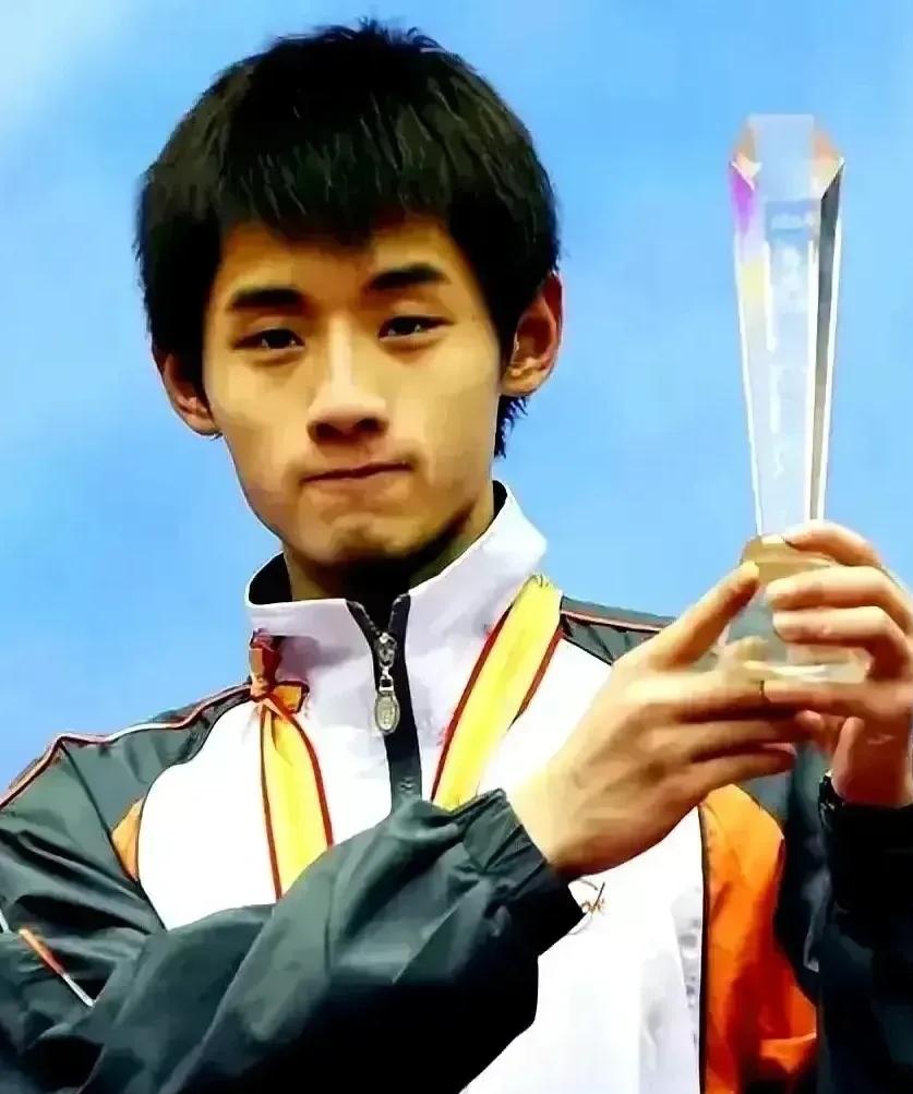 瑞典乒乓球队血洗波兰乒乓球队,王皓一己之力扛起全队的简单介绍 瑞典乒乓球队血洗波兰乒乓球队,王皓一己之力扛起全队的简单介绍