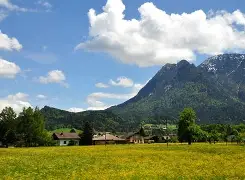 奥地利乒乓球队逆转比利时乒乓球队,张继科制霸全场 奥地利乒乓球队逆转比利时乒乓球队,张继科制霸全场