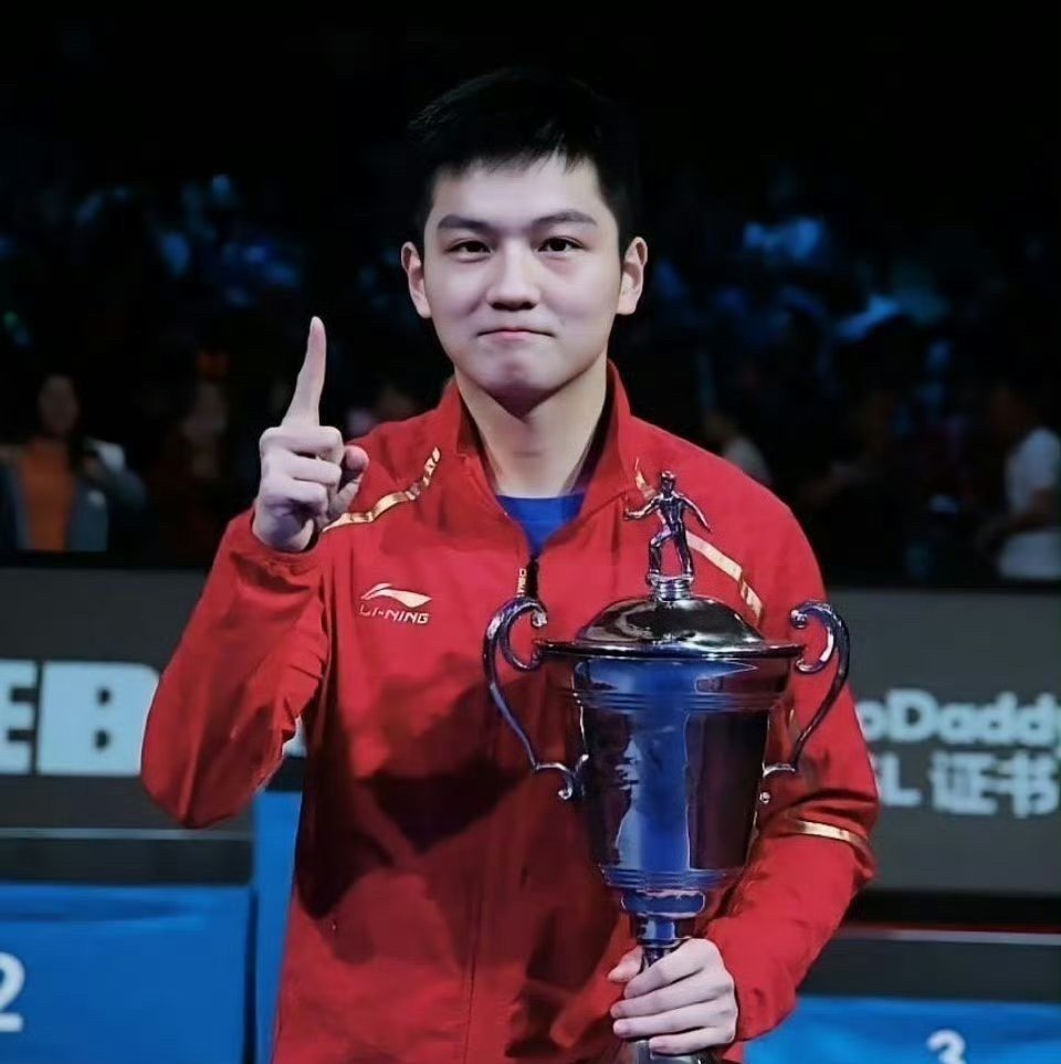韩国乒乓球队绝地反击瑞典乒乓球队,王皓惊艳世界的简单介绍 韩国乒乓球队绝地反击瑞典乒乓球队,王皓惊艳世界的简单介绍